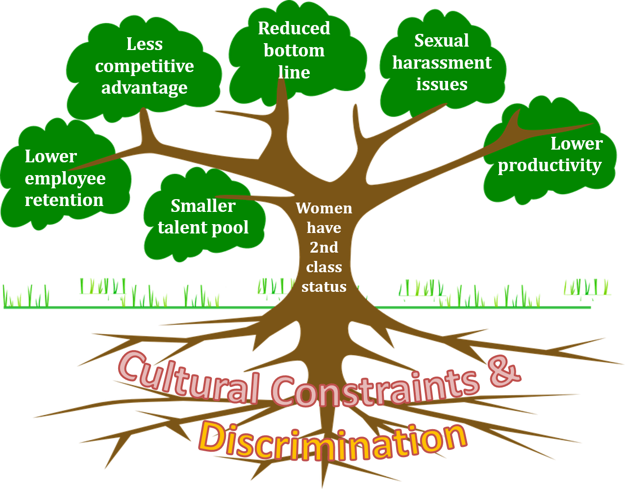 Tree with Cultural Constraints & Discrimination as the Roots, "Women have 2nd Class Status" as the Trunk, and Different Results in the Tree Leaves